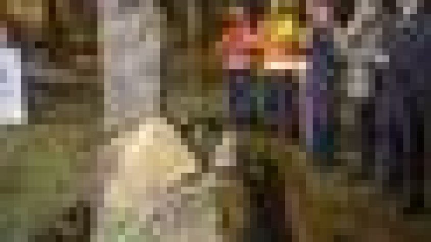 Agramunt va descobrir ahir un monòlit en memoria dels damnificats de la riuada del 3 de novembre del 2015