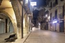  Foment Targarí no posarà els llums de Nadal