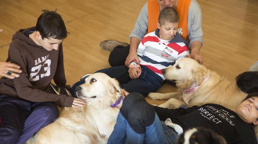 Usuaris d'Alba, amb gossos durant una sessió de caninoteràpia
