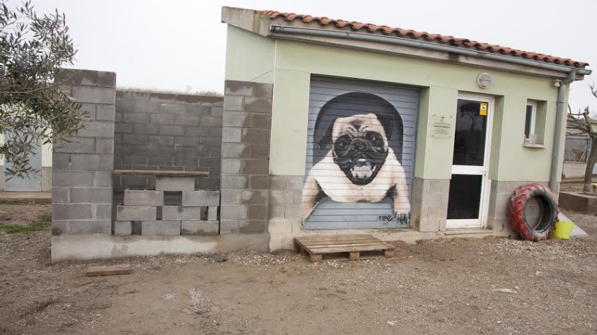 La nova caseta per a pinso que s'està construint