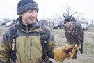 La falconeria es dóna cita a Verdú