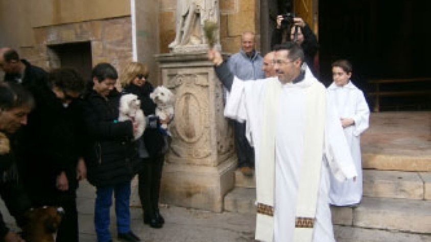 El rector Josep M. Vilaseca beneint els animalets davant el temple de Sant Antoni