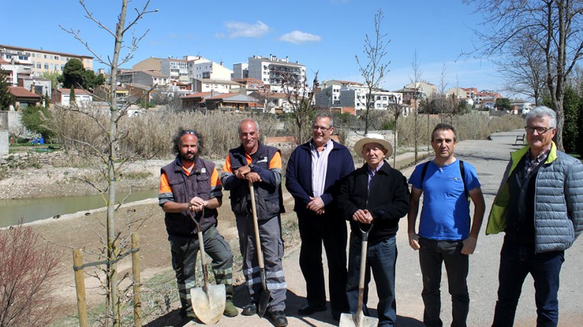El regidor de Medi Ambient, Josep Castelló, jardiners de Serveis Municipals i membres del grup GEMA han visitat la plantada d’arbres i arbustos a la llera del riu Ondara situada vora el carrer de Joan Brossa