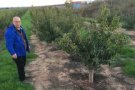 L'ametller guanya terreny al Segarra-Garrigues, on Vicens plantarà 500 hectàrees