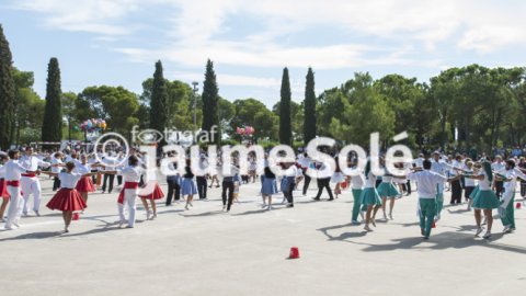 Concurs de colles sardanistes