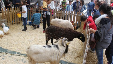 Fira del Medi Ambient 2015