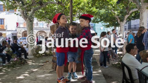 Festa de la Verema i el Vi 2015