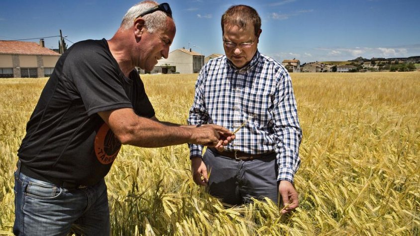 Alejandro Domingo i Ramon Augé, comprovant l'estat de l'ordi en un finca dels Hostalets
