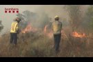 La Segarra i l'Urgell, les zones amb més risc d'incendis en la sega
