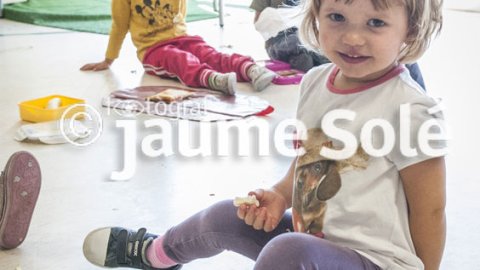 Escola Maria-Mercè Marçal curs 2015-2016