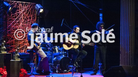 Premis Culturàlia 2015
