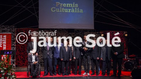 Premis Culturàlia 2015