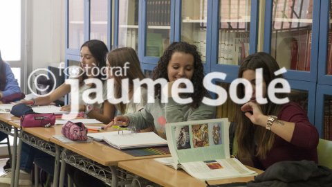 INS Alfons Costafreda curs 2015-2016