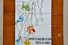 Històries d'ahir i d'avui: Flors i plantes als balcons targarins