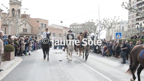 Algunes de les muntures que van participar en la festa