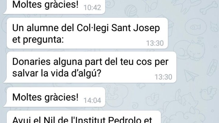 Algunes de les preguntes que planteja el bot