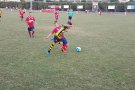 Bon començament de temporada per a l'Angulària