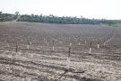 Més de 25 anys per amortitzar el Segarra-Garrigues, segons un estudi