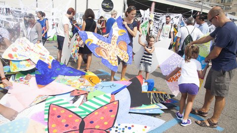 Colordellop