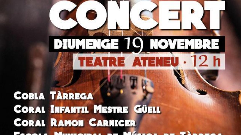 El cartell del Concert de Santa Cecília d'enguany