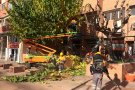 L'Ajuntament de Tàrrega du a terme una nova campanya d'esporga d'arbres dels espais públics urbans