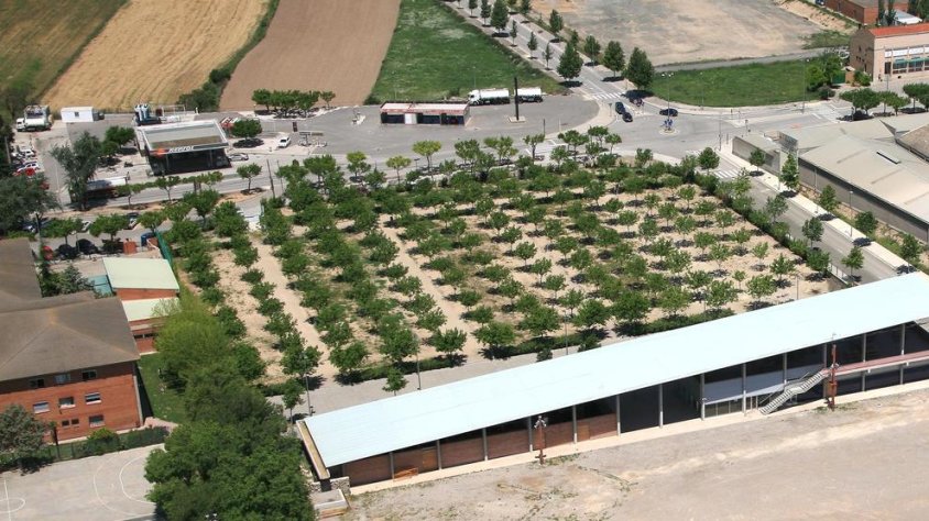 Vista aèria del càmping municipal de Tàrrega, amb una superfície de 135.000 metres quadrats