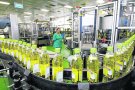 El Grup Borges aconsegueix un benefici net de 14,8 milions d'euros l'exercici del 2017