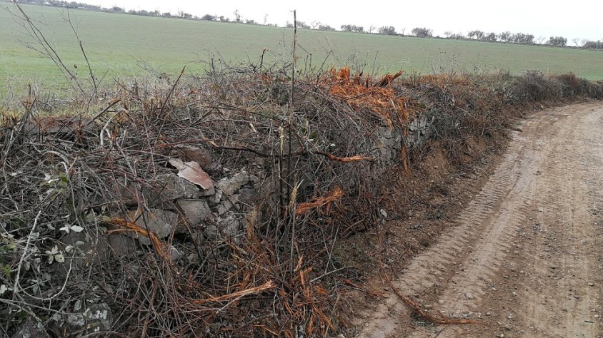 Imatge del camí de la Calafa