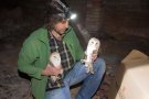 Habiliten una cova a la Figuerosa per salvar les òlibes de l'Urgell i la Segarra