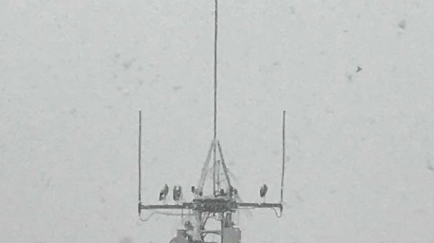 Imatge de l'antena al febrer