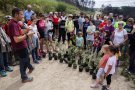 Vallbona planta alzines per regenerar un bosc cremat