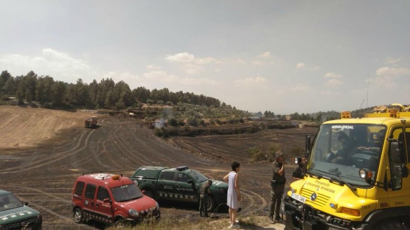 Efectius de Rurals i Bombers, ahir a l'incendi en un camp de pèsols a Maldà