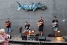 Festival Sardines & Marinada, a Tàrrega amb 3 concerts al juliol