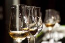 La Soll estrena la campanya d'estiu amb un TastaVins aquest divendres