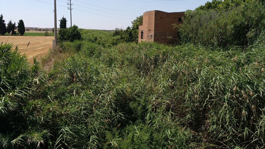 Aspecte actual del riu Ondara vora el pont de l'avinguda Onze de Setembre