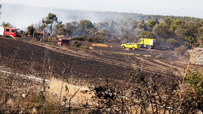 El foc va cremar sobretot camps de cereal