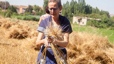 Una de les segadores amb espigues a les mans