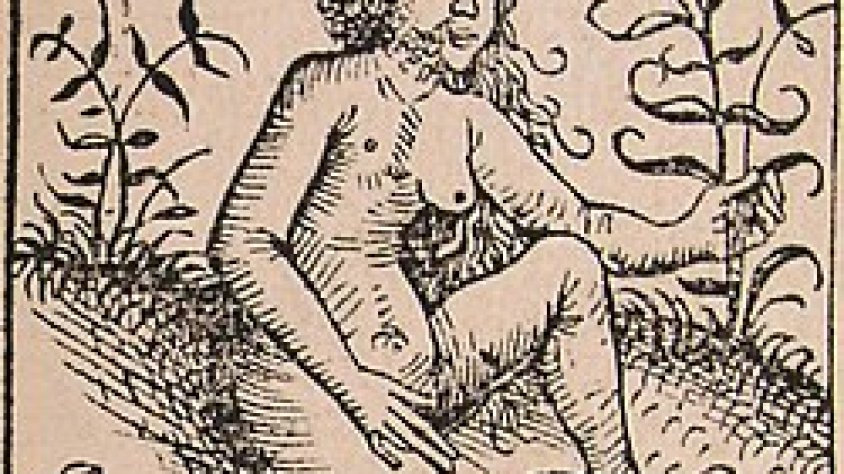 Representació medieval d'una persona andrògina, a Cròniques de Nuremberg