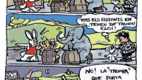 Eloi 24/05/2019