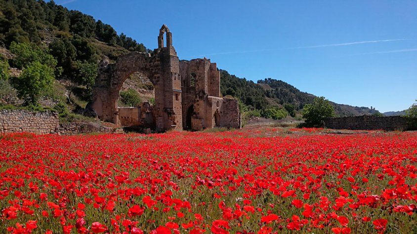 L'entorn del monestir de Vallsanta