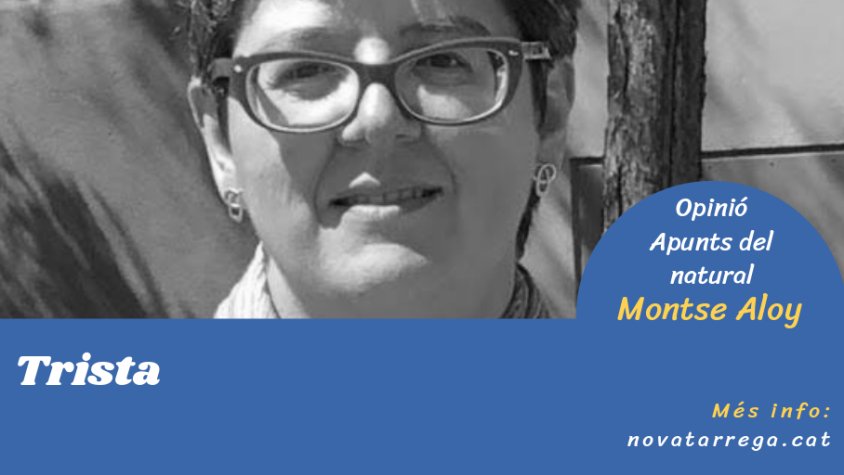 La tristesa de Montse Aloy, a 'Opinió'