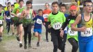 L'atletisme se cita al 27è Cros Intercomarcal de Tàrrega aquest diumenge