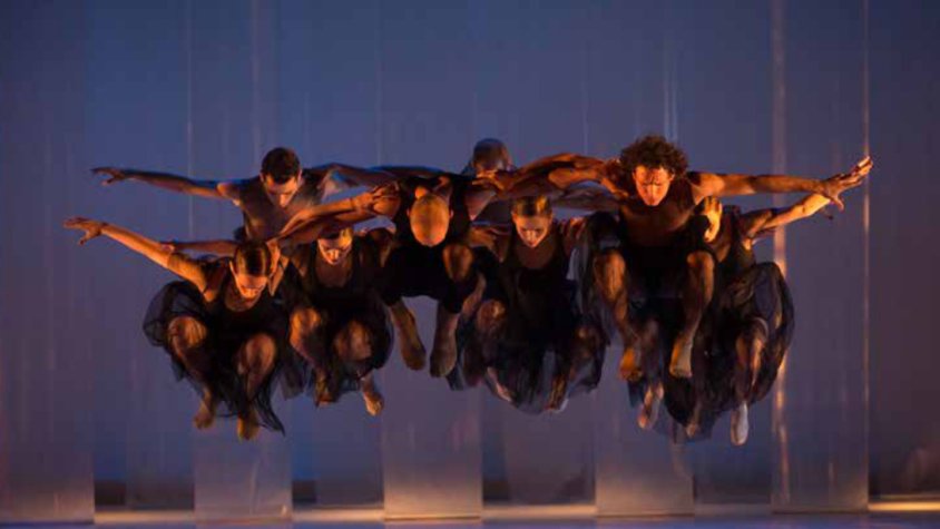 Imatge promocional de LaMov