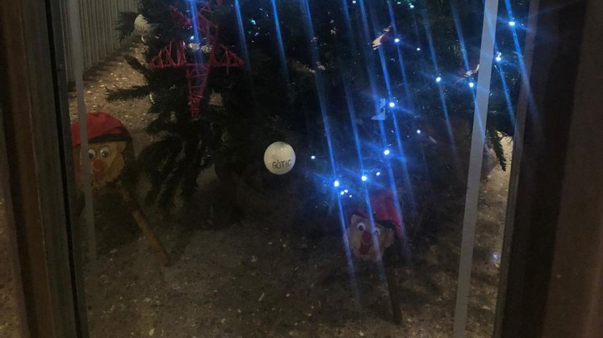 Un arbre i dos tions lluen al vestíbul de l'ajuntament