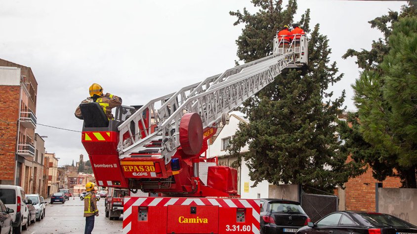 Bombers retirant l'arbre caigut al carrer del Nord