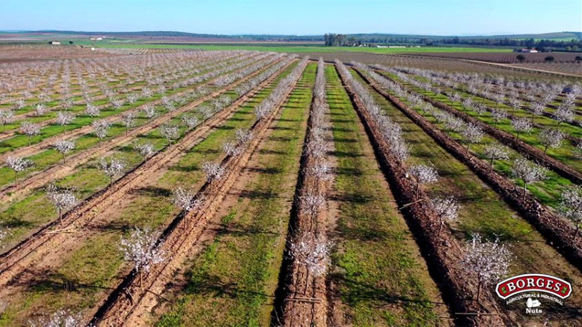 Borges obté un resultat d'1,5 milions al tancament del tercer trimestre 