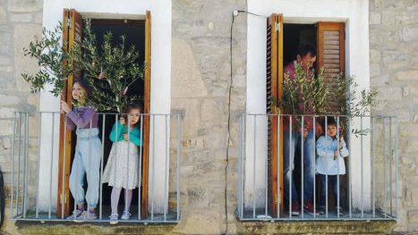 Palmes i vermut des del balcó. FOTO: EVA CARNICER