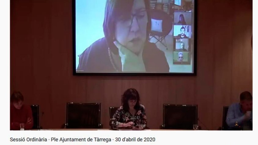 Perelló durant la seva intervenció al ple