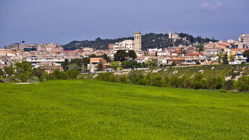 Un sembrat entorn de Tàrrega. Al fons, els campanars de la Parròquia i de Sant Eloi