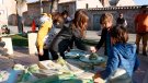 Creen un protocol per reprendre les propostes artístiques al carrer